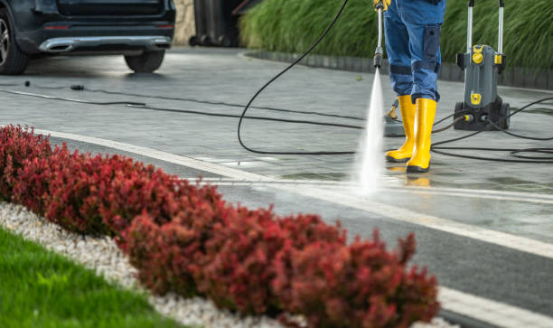 Best Sidewalk and Walkway Cleaning  in Wagener, SC